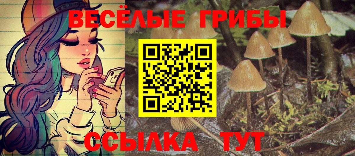 наркошоп  Галлюциногенные грибы Psilocybe  Вход с VPN  Псилоцибиновые грибы прущие грибы  Майкоп 