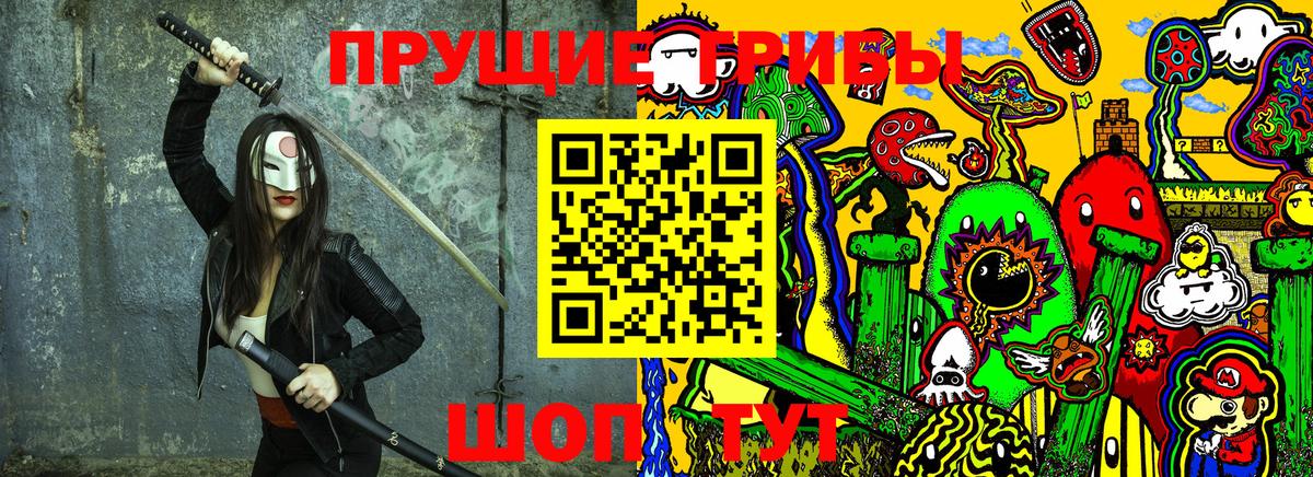 Псилоцибиновые грибы Cubensis Майкоп